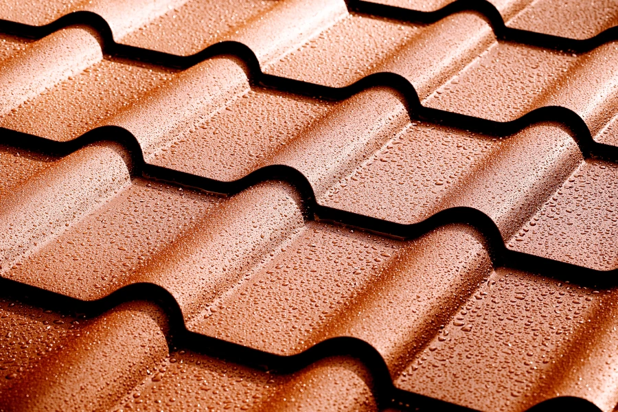 nettoyage-toiture-Illkirch-Graffenstaden